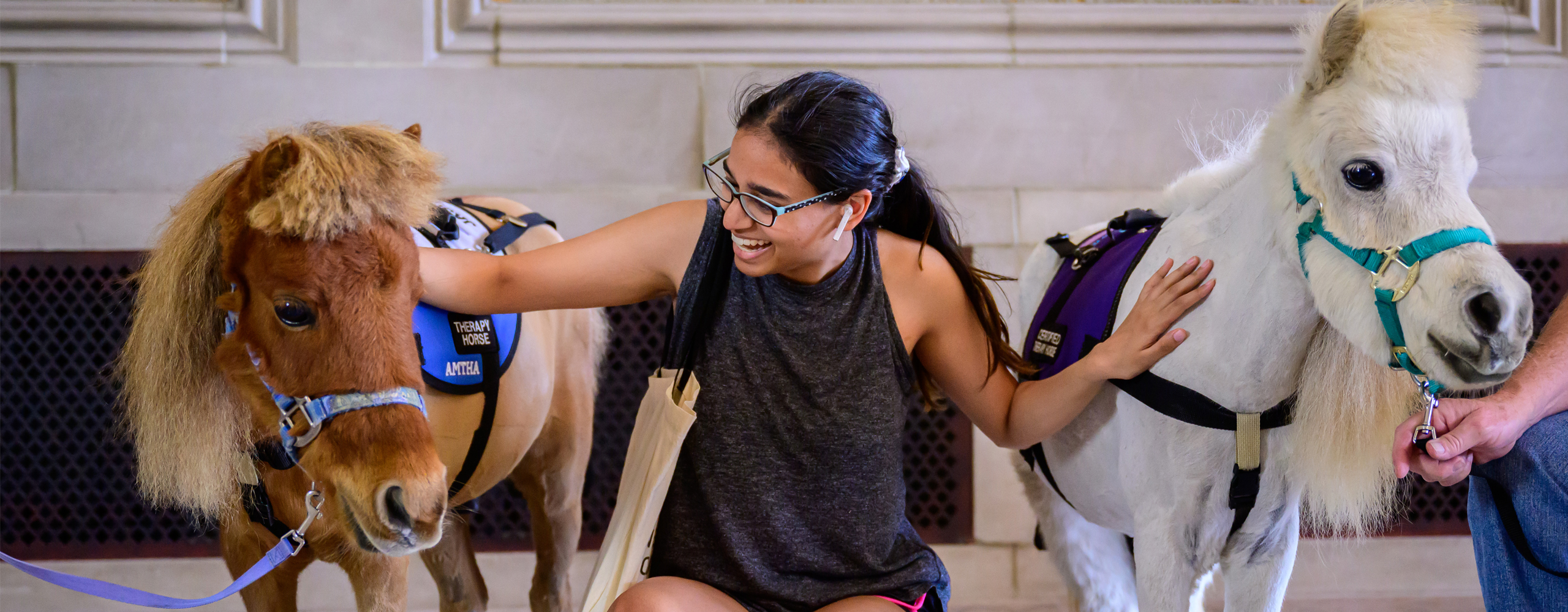 Students with therapy horses.